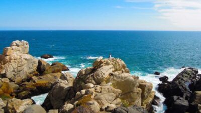 ISLA NEGRA AND ALGARROBO WITH VINICOLA UNDURRAGA – TOUR : CHILE