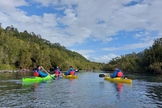 Kayak through the Sunken Forest of the Maullín River - Key points before you book