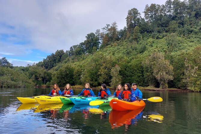 Kayak through the Sunken Forest of the Maullín River - Meeting at Cahuil Adventure near Llanquihue