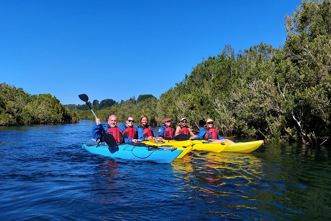 Kayak through the Sunken Forest of the Maullín River - Guides who teach instead of simply leading