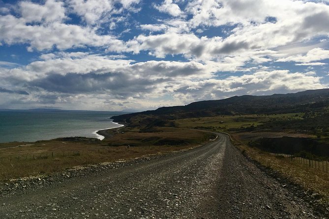 King Penguin Nature Reserve - Tierra del Fuego Island - The guides can shape the entire experience