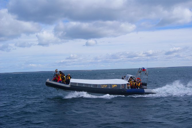 Magdalena Island Penguin Tour by Boat from Punta Arenas - Crossing the Strait of Magellan by catamaran