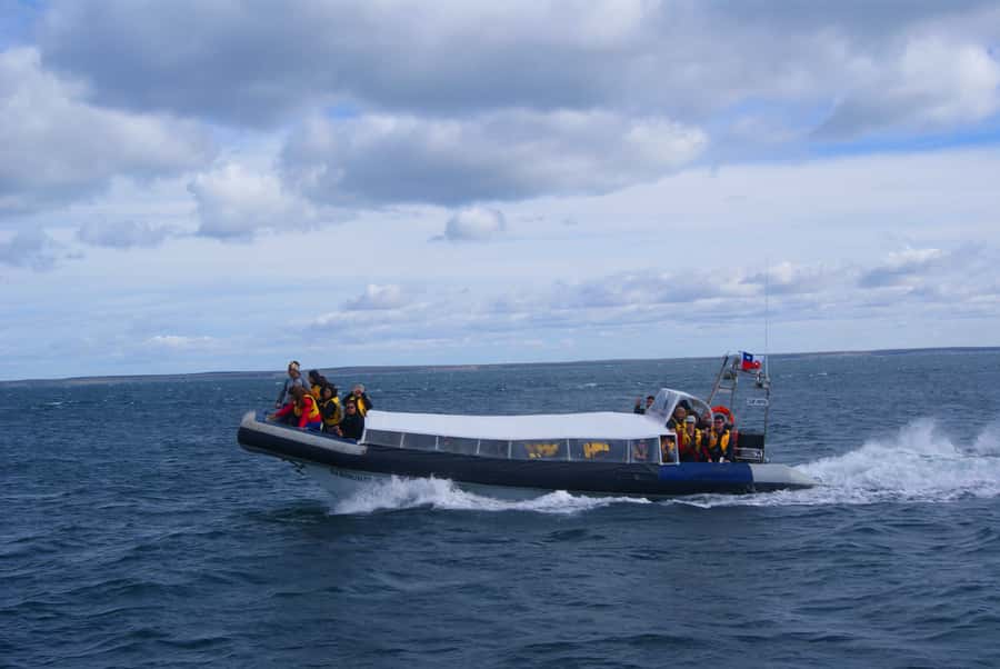 Magdalena Island Penguin Tour by Boat from Punta Arenas - Is $160 a fair price?