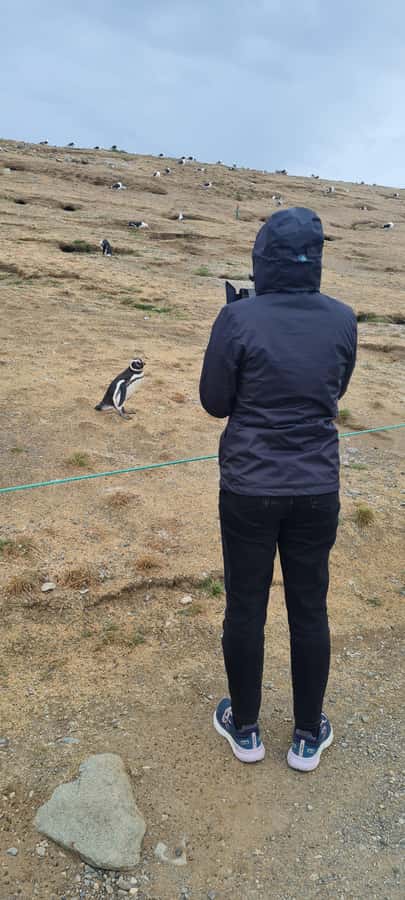 Magdalena Island: Walk with the penguins - The lighthouse and the wildlife balance