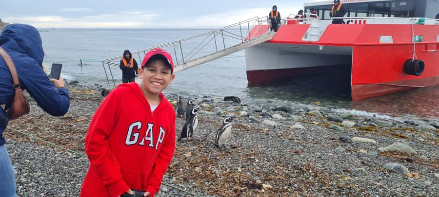 Magdalena Island: Walk with the penguins - Is the $170 price good value?