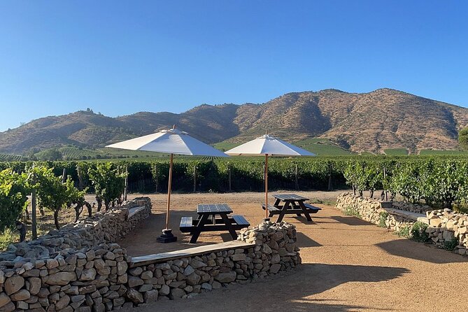 Moment Tour Tasting Icon - The vineyard walk and the story behind the vines