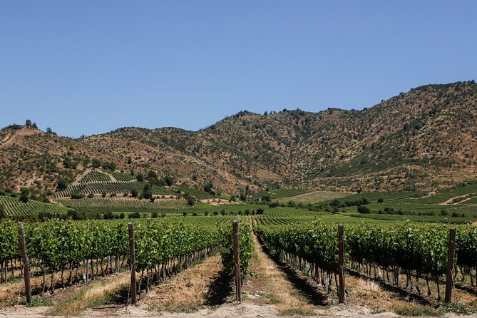 Moment Tour Tasting Icon - The family chapel and a more personal sense of place