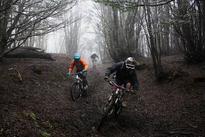 Mountain Bike Adventure in Punta Arenas - Is $192.31 a fair price?