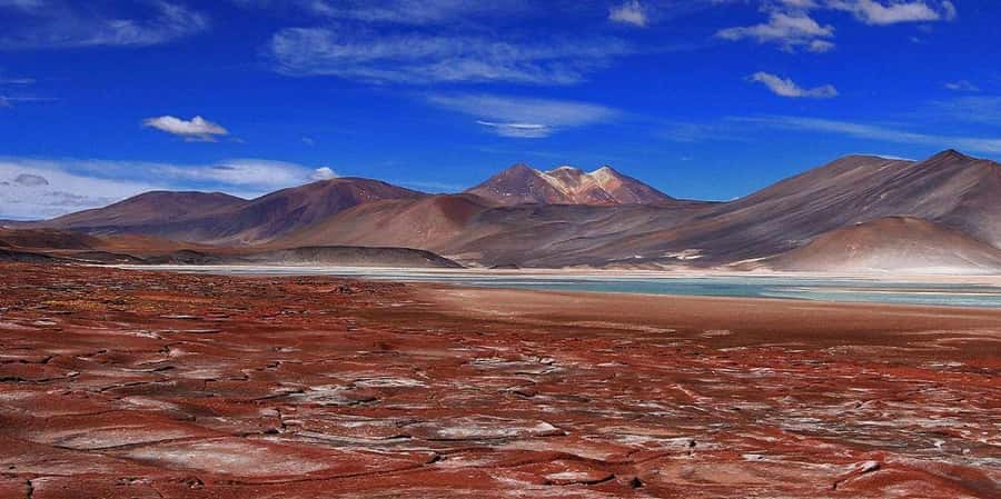 Piedras Rojas, Altiplanics Lagoons & Salar Full-Day Tour - Key points to know before booking