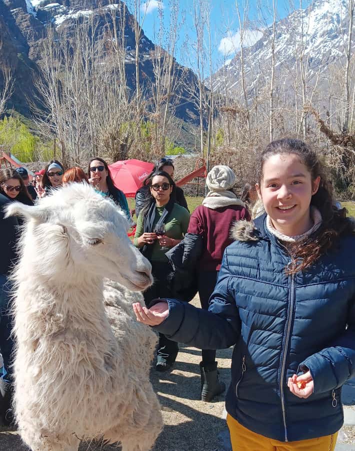 Portillo + Laguna del Inca with picnic - Key points at a glance