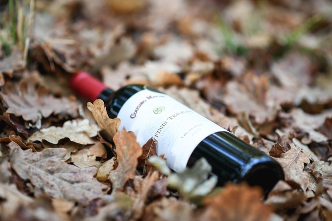 "Premium Wine Tour" Viña Cousiño Macul Official english - Group size, pace, and the English experience