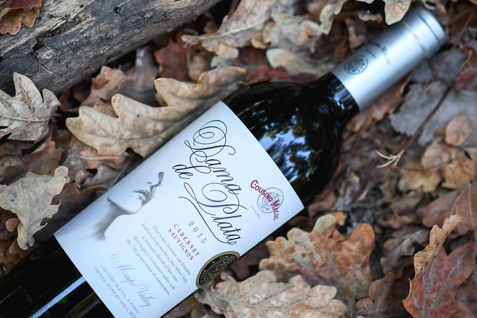 "Premium Wine Tour" Viña Cousiño Macul Official english - Who will get the most from this experience