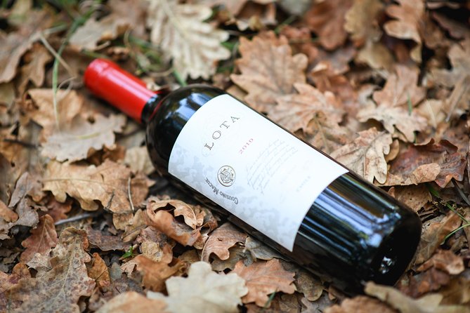 "Premium Wine Tour" Viña Cousiño Macul Official english - Is $45 a fair price?