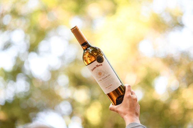 "Premium Wine Tour" Viña Cousiño Macul Official english - Booking timing and practical planning
