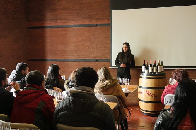 "Premium Wine Tour" Viña Cousiño Macul Official english - The premium tasting, three wines and small pairings