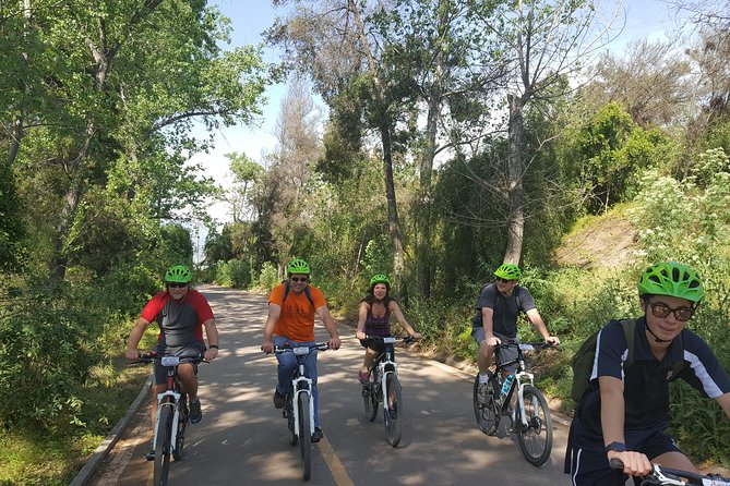 Private Full-Day Bike Tour of Santiago Cultural 5-6 hrs - Mercado Tirso de Molina and the included juice