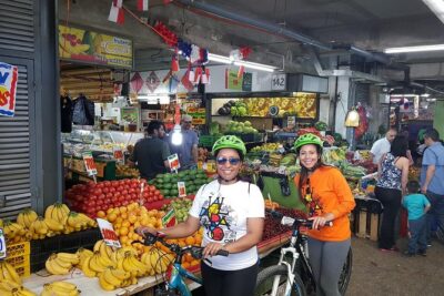 Private Full-Day Bike Tour of Santiago Cultural 5-6 hrs