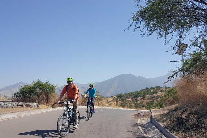Private Full-Day Bike Tour of Santiago Cultural 5-6 hrs - Central Market, Forestal Park, and Bellas Artes