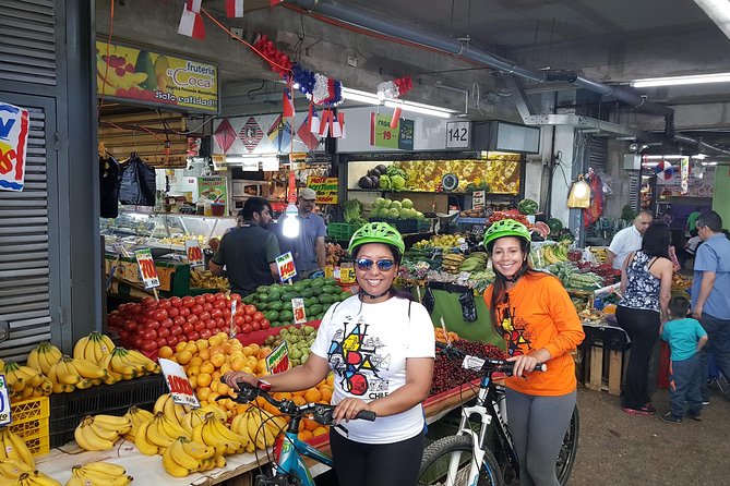 Private Full-Day Bike Tour of Santiago Cultural 5-6 hrs - Starting beside Metropolitan Park