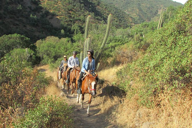 Private Horseback Adventure in the Andes, with Picnic & Wine - Key Points Before You Book