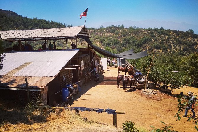Private Horseback Adventure in the Andes, with Picnic & Wine - Birdlife and Plants Along the Route