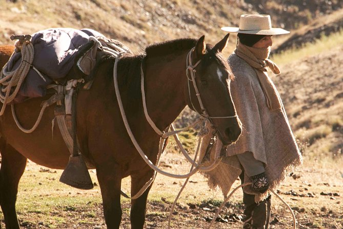 Private Horseback Adventure in the Andes, with Picnic & Wine - Why the Private Format Matters