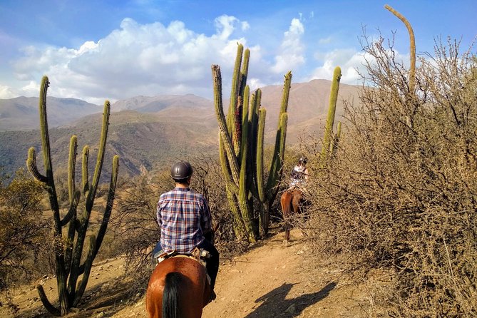 Private Horseback Adventure in the Andes, with Picnic & Wine - Beginner Riders, Families, and Experienced Horse People