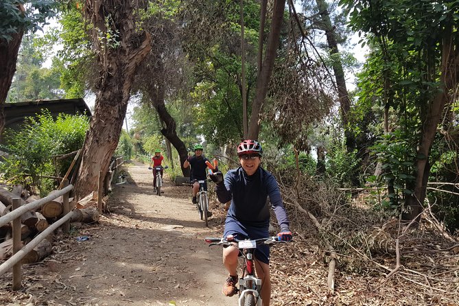 Private San Cristobal Hill Mountain Bike Tour - Sculpture Park and the return to Providencia