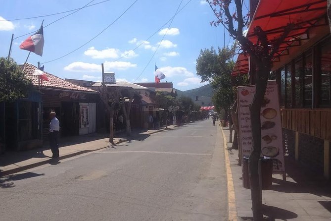 Private Valparaíso & Viña del Mar Day Trip with Boutique Winery - Tasting small-batch wine at Bodega RE