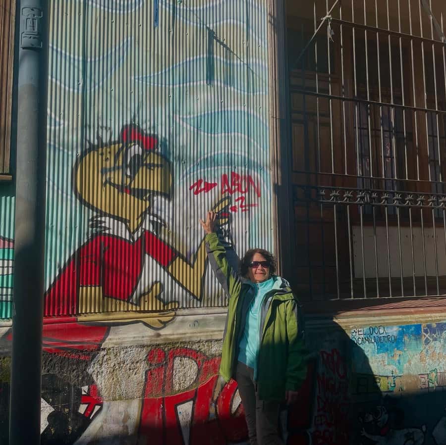 Private: Viña del Mar and Valparaiso Day Tour - Key points at a glance