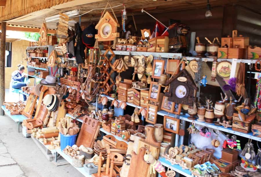 Pucón and Villarrica: Guided Tour with Hotel Pickup - Why this four-hour tour works