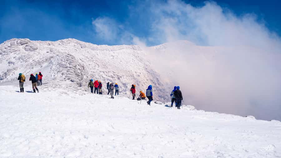 Pucón: Ascent to Villarrica Volcano - Six hours of steady climbing