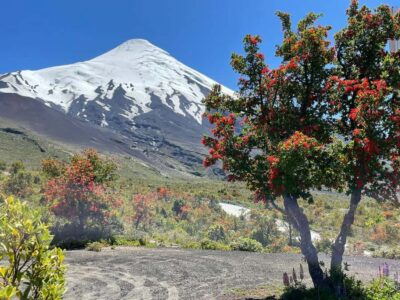 Osorno Volcano Tour Shore Tour in Private