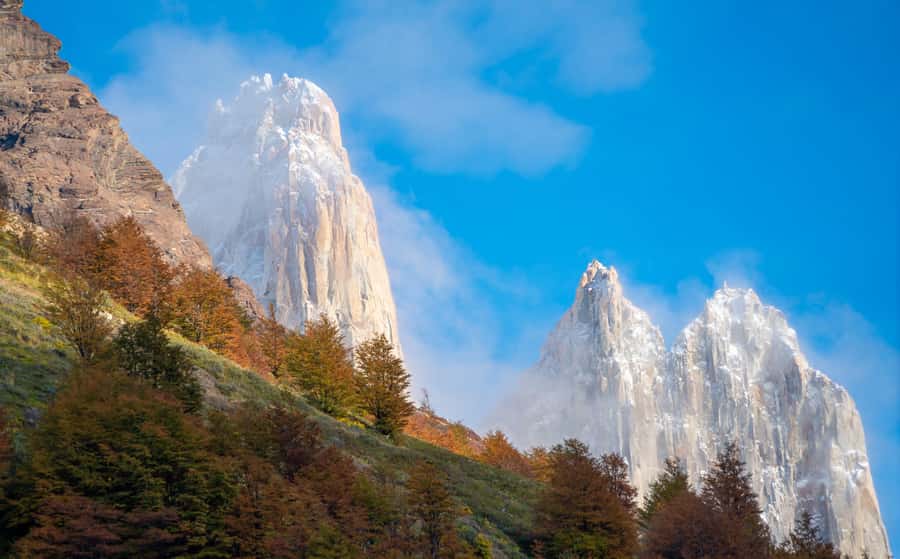 Puerto Natales: Base of the Towers Trekking Experience - Forest, moraine, and the final uphill push