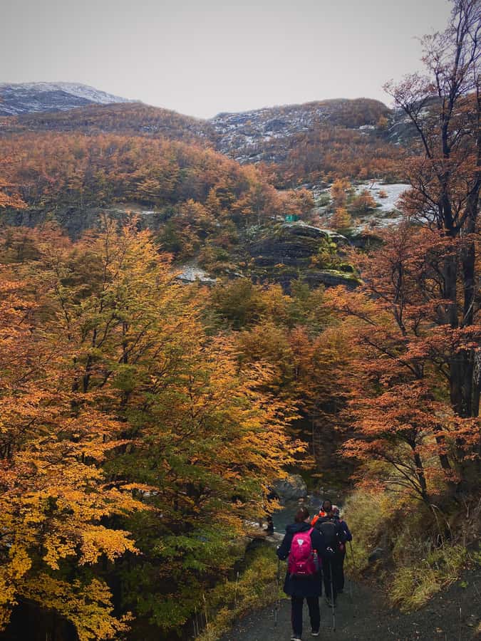 Puerto Natales: Base of the Towers Trekking Experience - Weather can change the whole experience