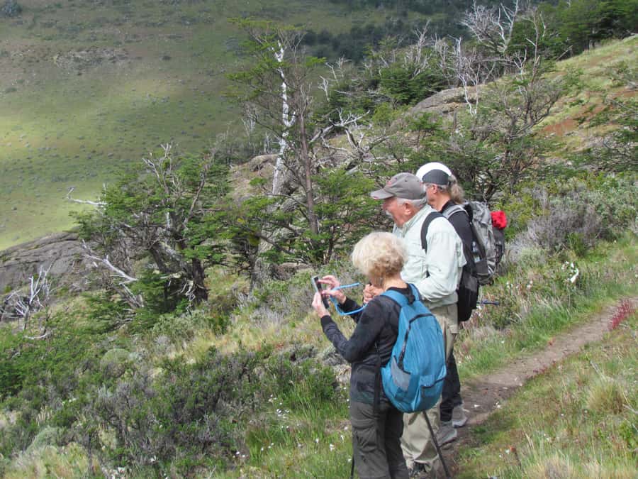 Puerto Natales: Cerro Benitez Half-Day Hike with Condors - Searching the sky for Andean condors