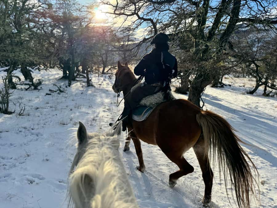 Puerto Natales: Full Day Horse Riding to the Mountains - Key points to know before booking