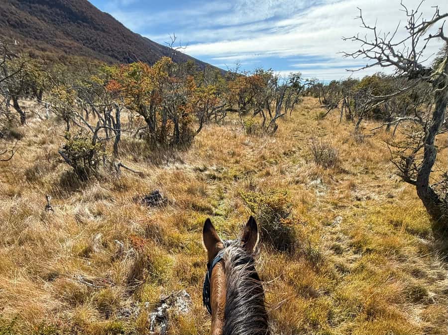 Puerto Natales: Full Day Horse Riding to the Mountains - What the $360 price includes