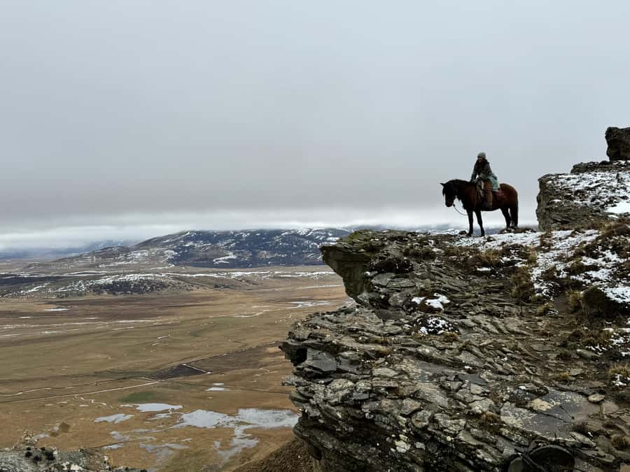 Puerto Natales: Full Day Horse Riding to the Mountains - A horse connection before the first mile