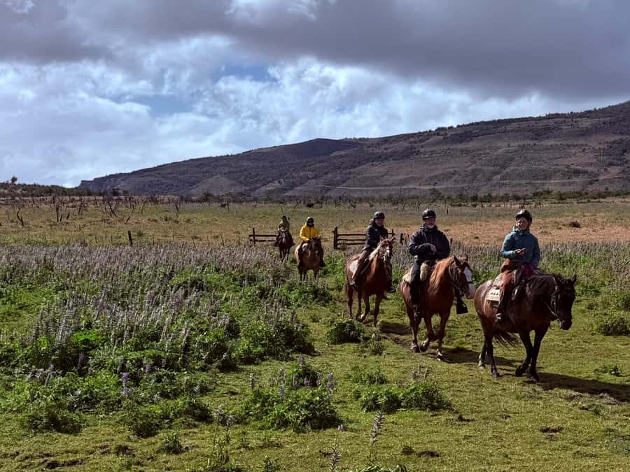 Puerto Natales: Full Day Horse Riding to the Mountains - Riding through forests, lakes, and river crossings