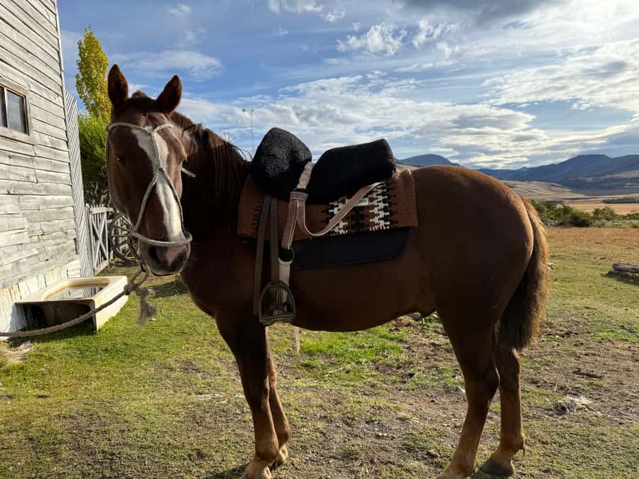 Puerto Natales: Full Day Horse Riding to the Mountains - What the 1.5-hour briefing tells you
