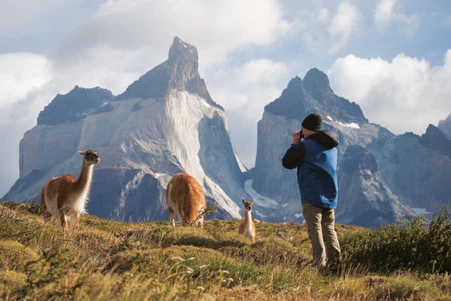Puerto Natales: Full Day Torres del Paine + Milodon Cave - Why this day trip works for first-time visitors