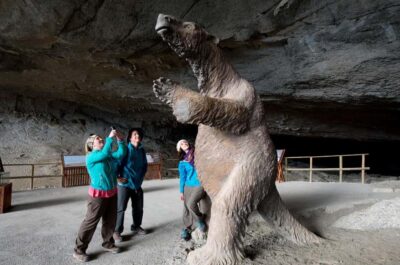 Full Day Torres del Paine + Milodon Cave