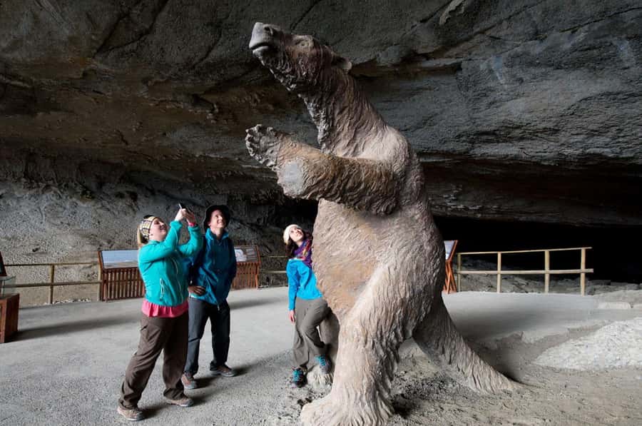 Puerto Natales: Full Day Torres del Paine + Milodon Cave - The road from Puerto Natales to the park