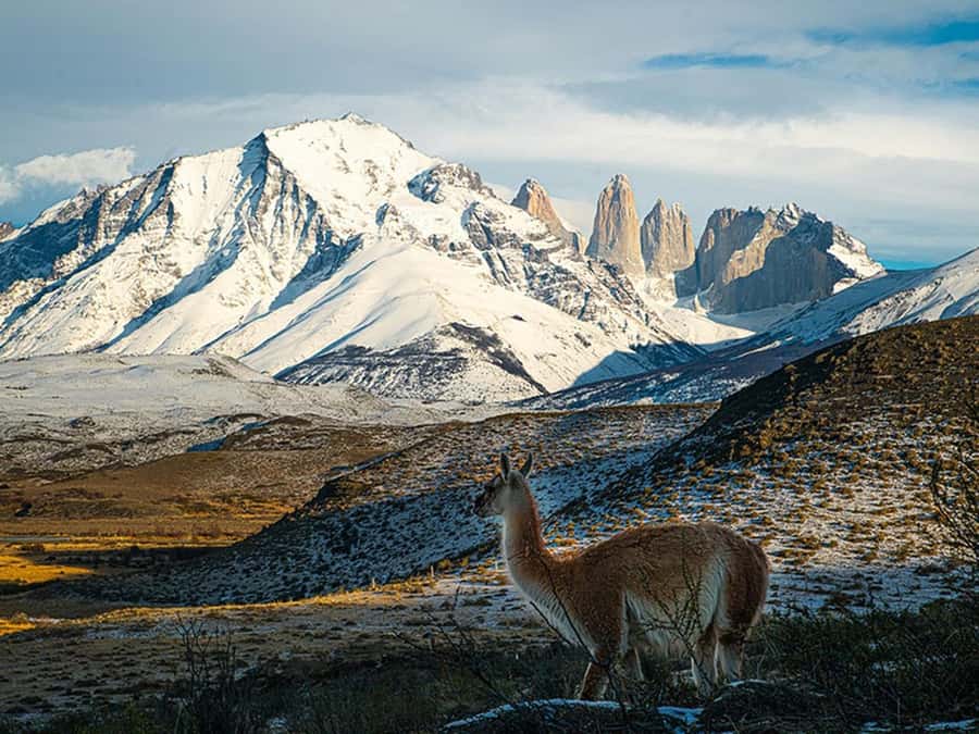 Puerto Natales: Full-Day Torres del Paine Tour - Why this route works for a first day in Torres del Paine