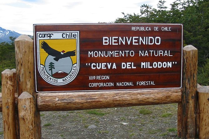 Puerto Natales: Full day tour Torres del Paine - What this Torres del Paine day tour is really like