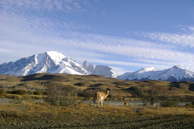 Puerto Natales: Full day tour Torres del Paine - Milodón Cave adds a prehistoric chapter