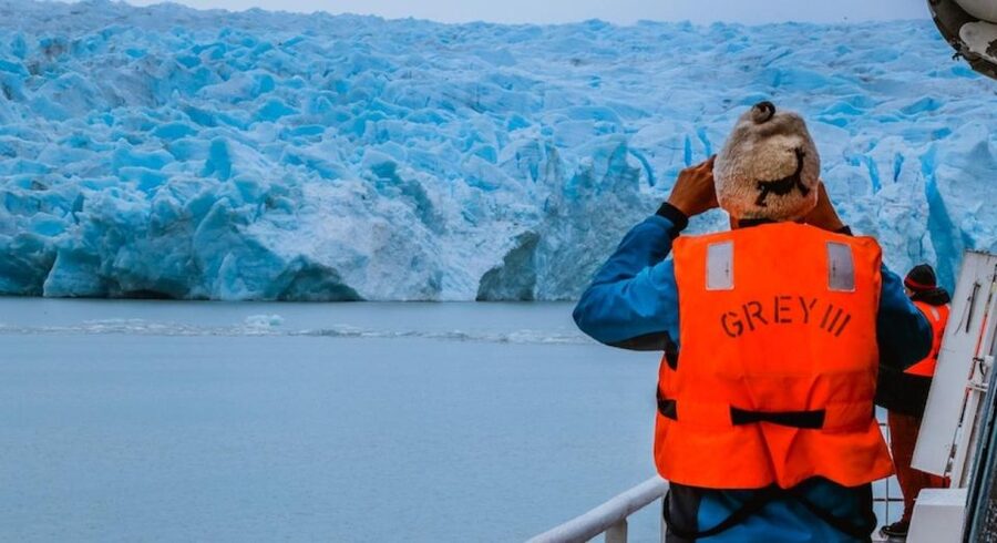Puerto Natales: Grey Glacier Navigation w/ Transport - Returning on foot and driving back