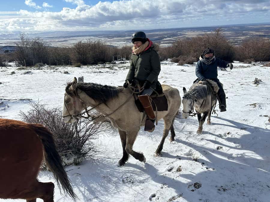 Puerto Natales: Horseback Riding to Dorotea Fjord Lookout - Why Cerro Dorotea makes a good half-day outing