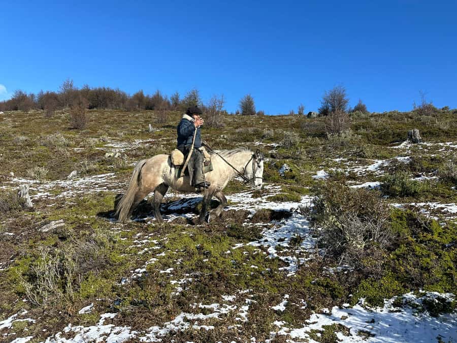 Puerto Natales: Horseback Riding to Dorotea Fjord Lookout - Riding through forest, meadow, and open Patagonian air